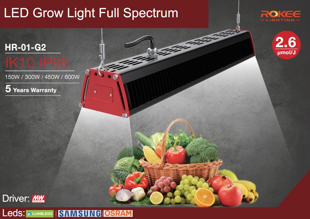 LED Grow Light-Rokee lighting.jpg