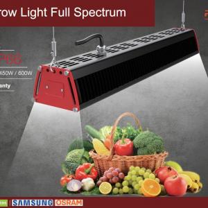 How to Choose a Professional Plant Grow Light?