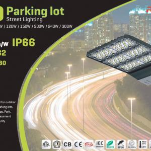 2200K Super-Warm CCT LED Street Light