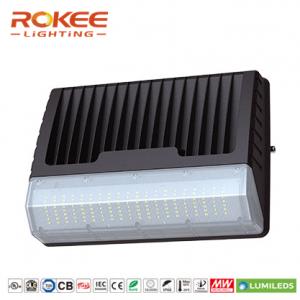 G2 Series-100W LED Wall Park Light