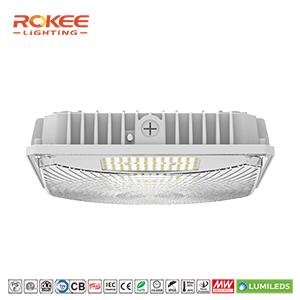 ROKEE G2 series-LED Gas Station Light 60W,ATEX